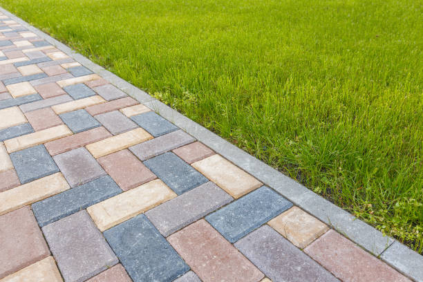 Best Driveway Paving Company  in Evart, MI